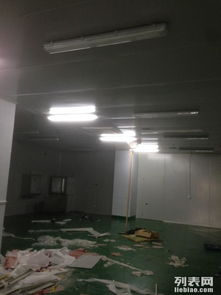 金山石化區(qū)食品廠專業(yè)凈化工程 彩鋼巖棉板隔斷、車間隔墻與工裝裝修一體化解決方案